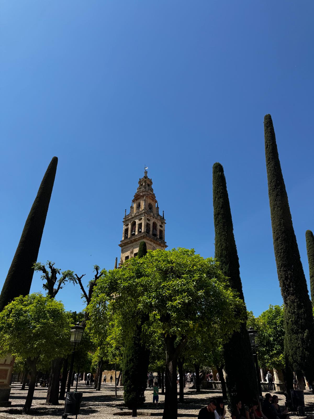 Gallery immagine: Andalusia - 450